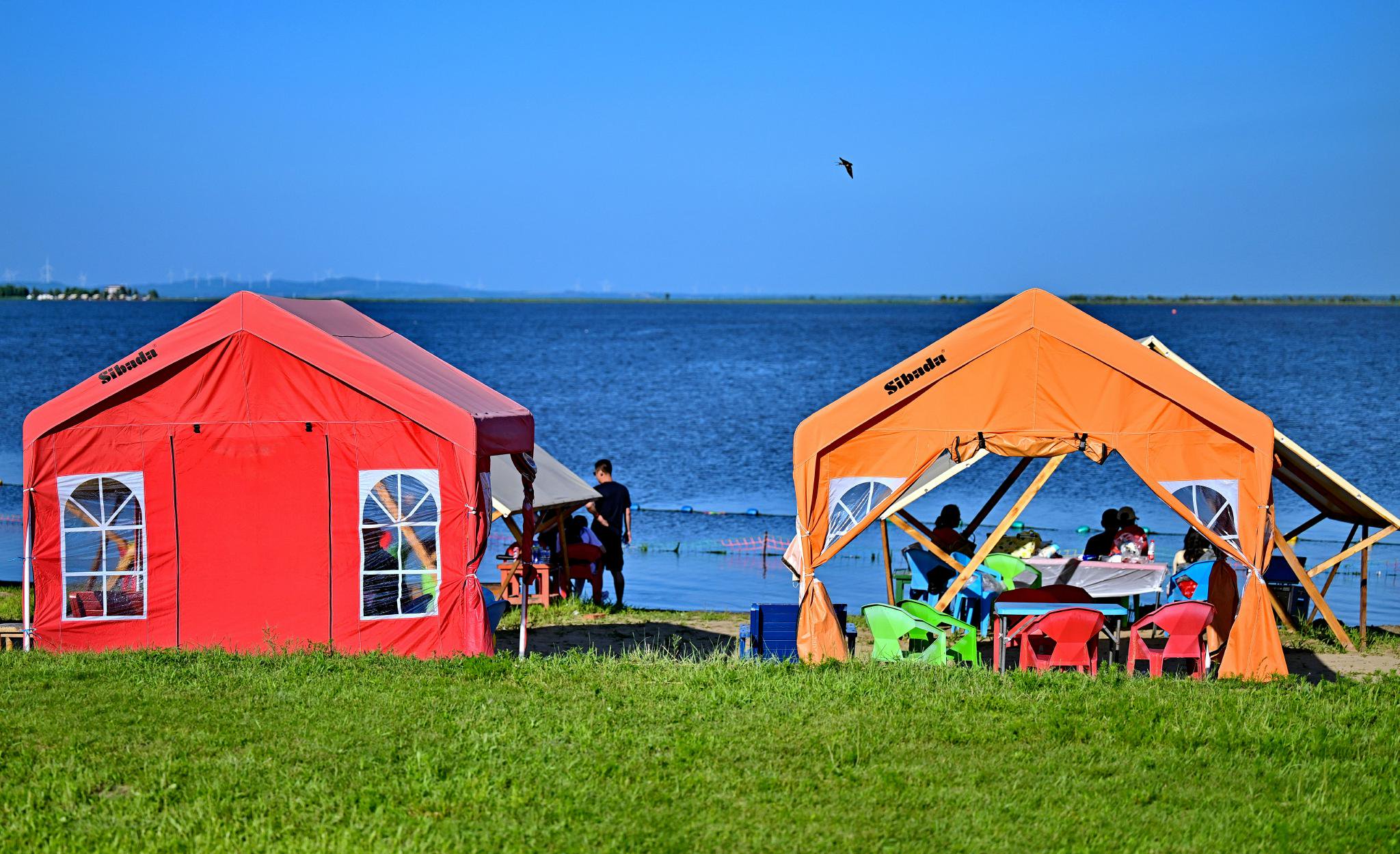 最新调查：滨海新区哪里有姑娘推荐与实测避坑精选指南