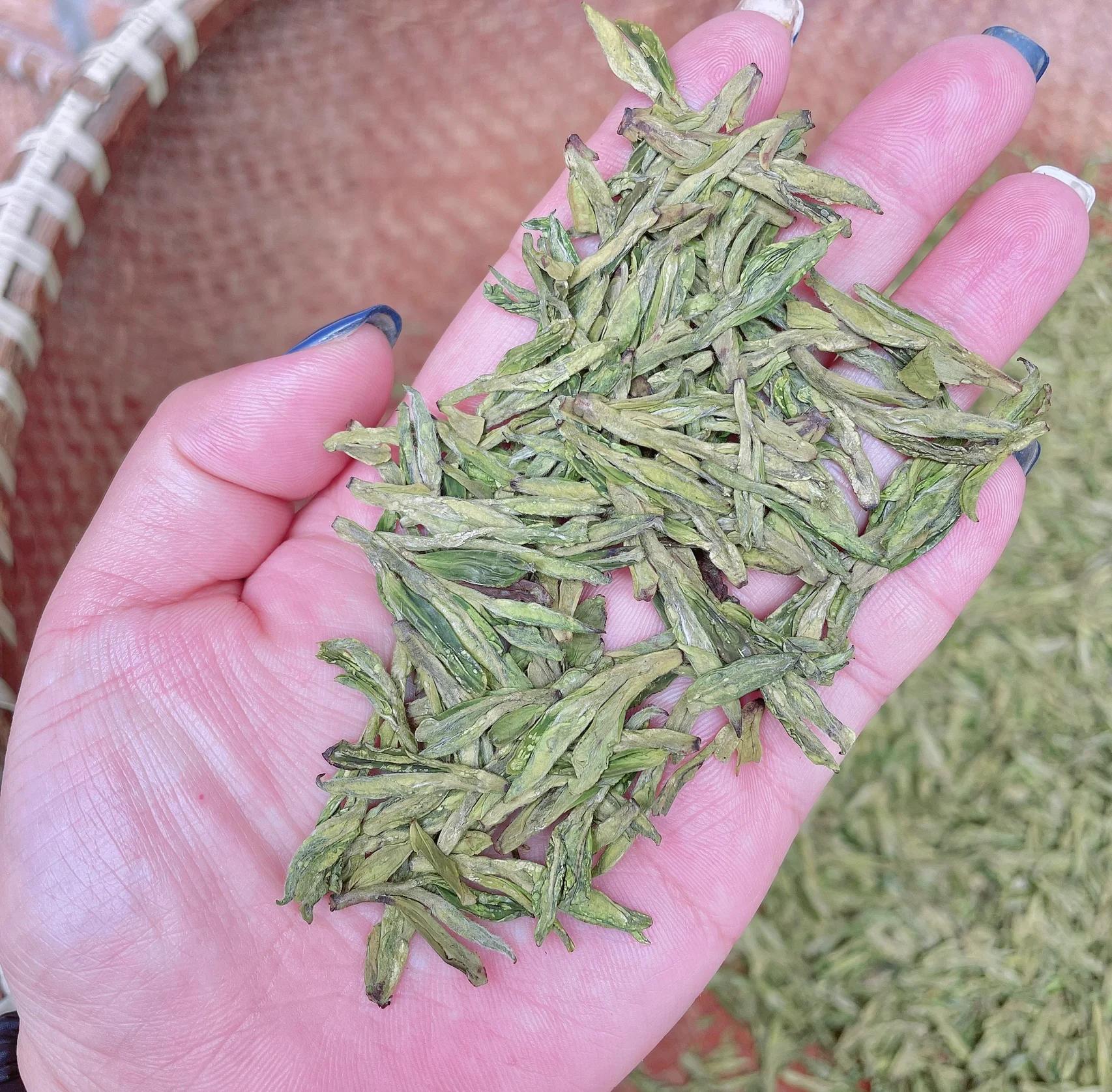 同城约茶入门指南：从零开始的社交茶局的基本介绍和实用技巧