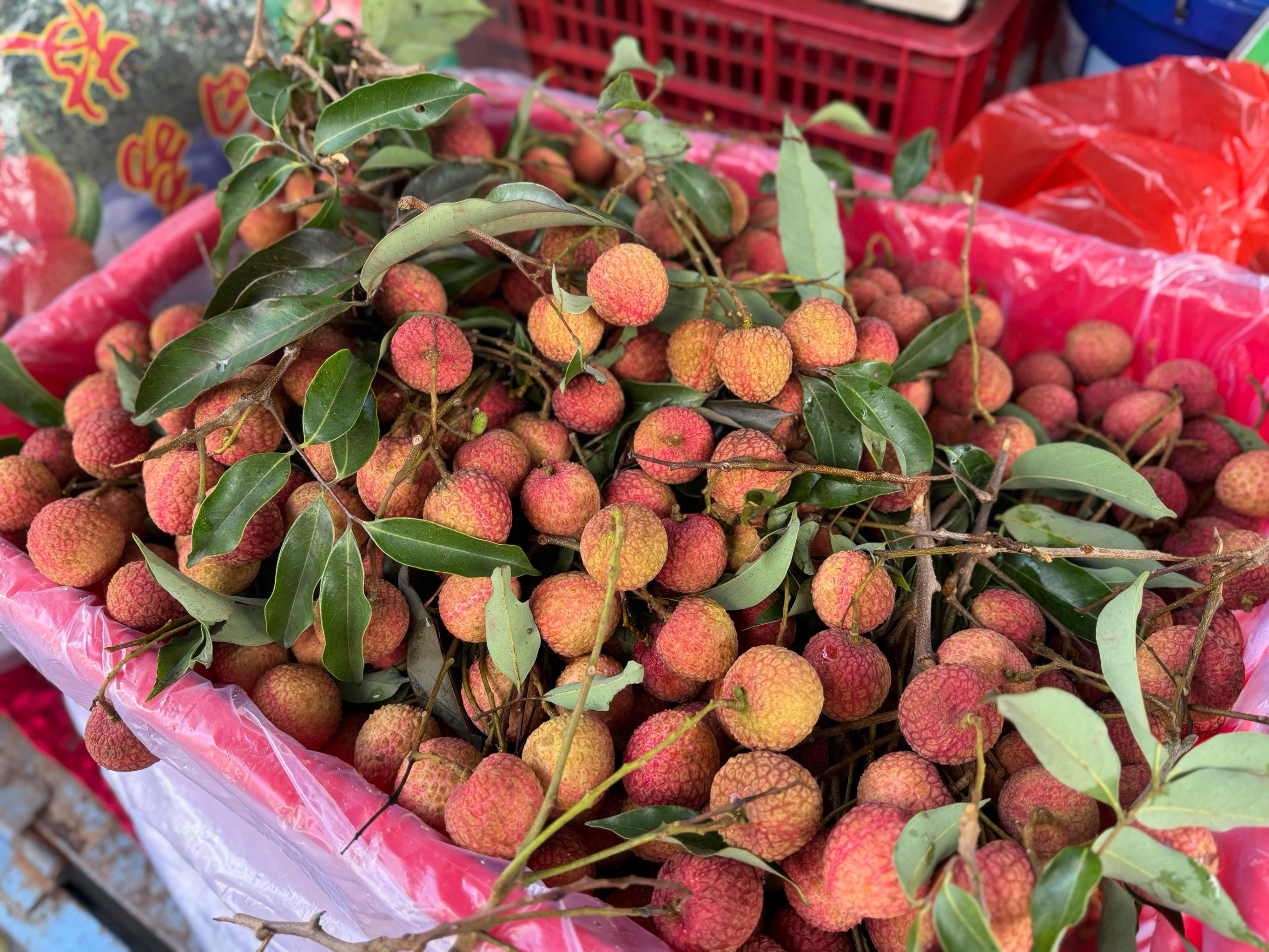 茂名初中生100元3小时电话