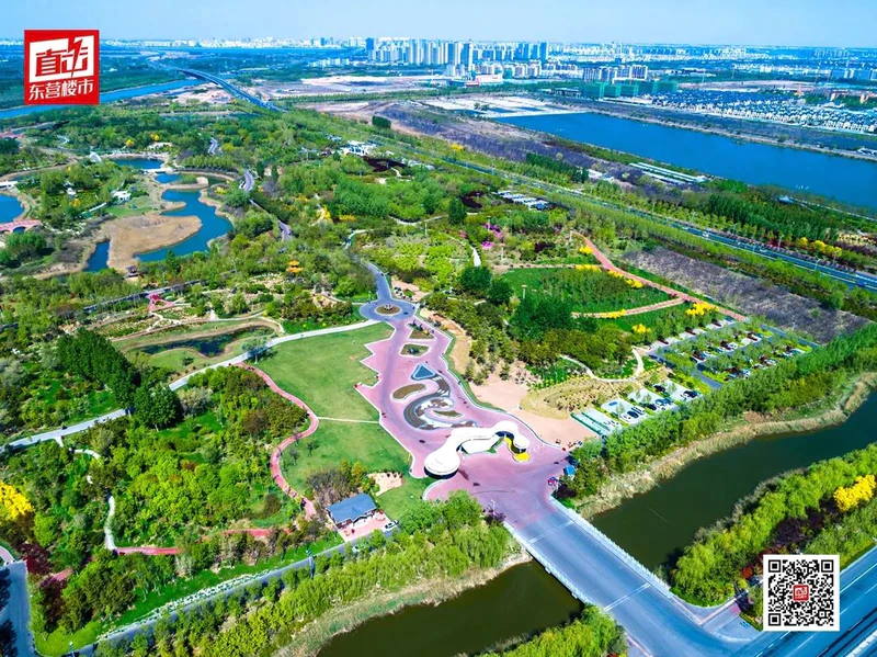 东营休闲娱乐指南，年轻群体社交场所解析