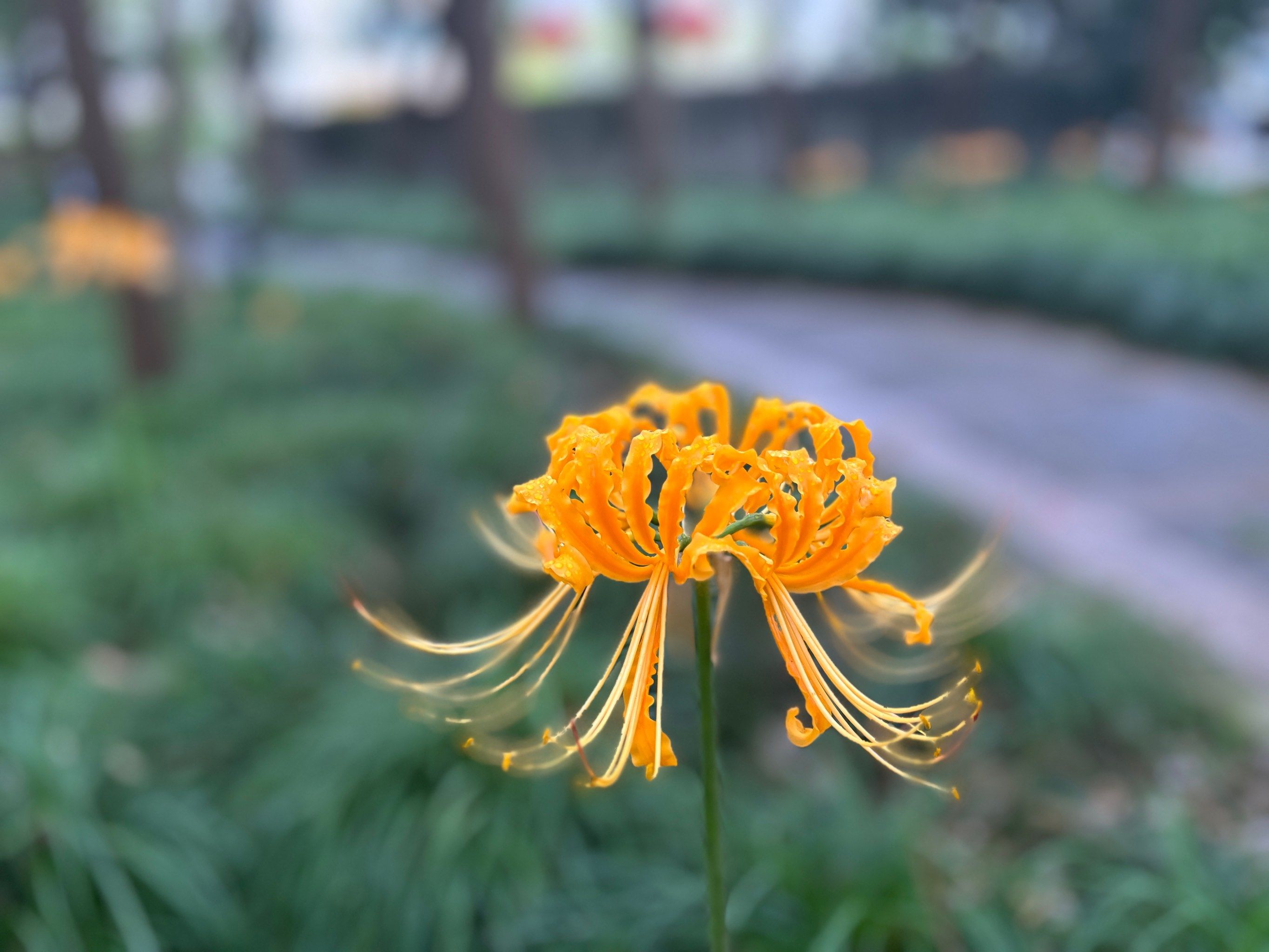 宜兴附近的500一次真的可以约吗