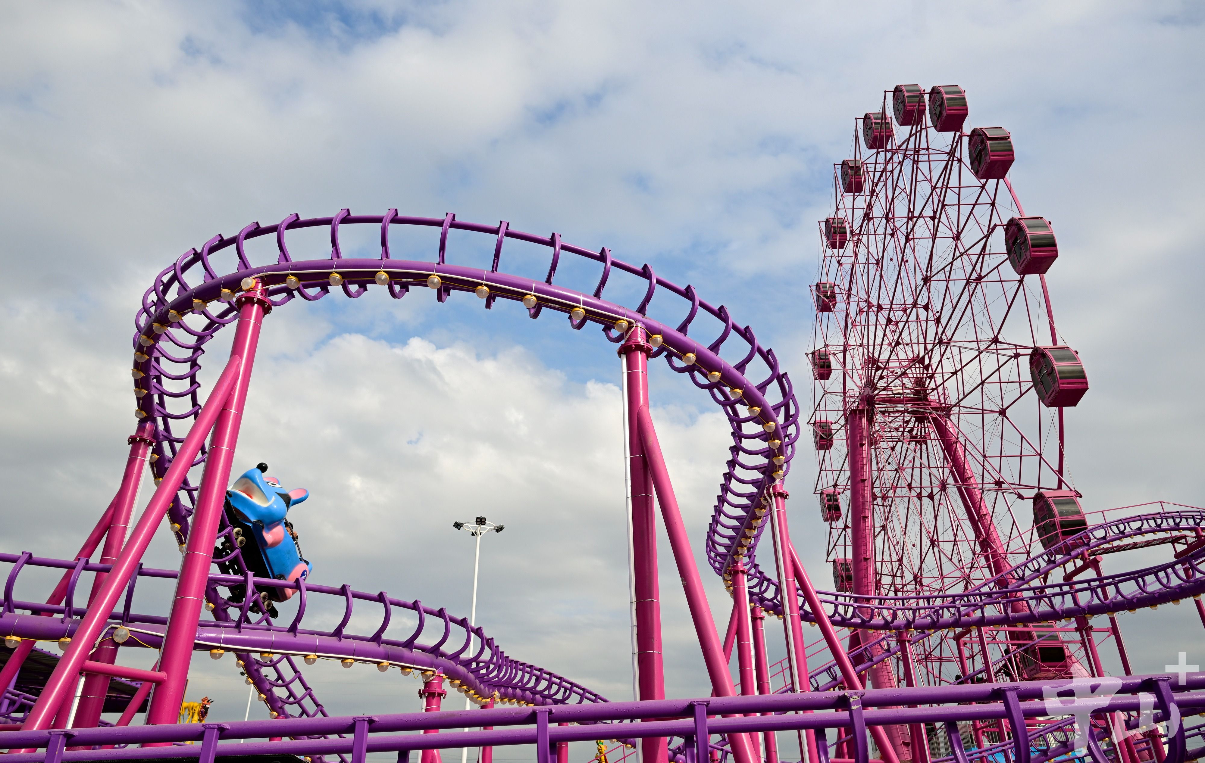 丽江如何找附近的喝茶群