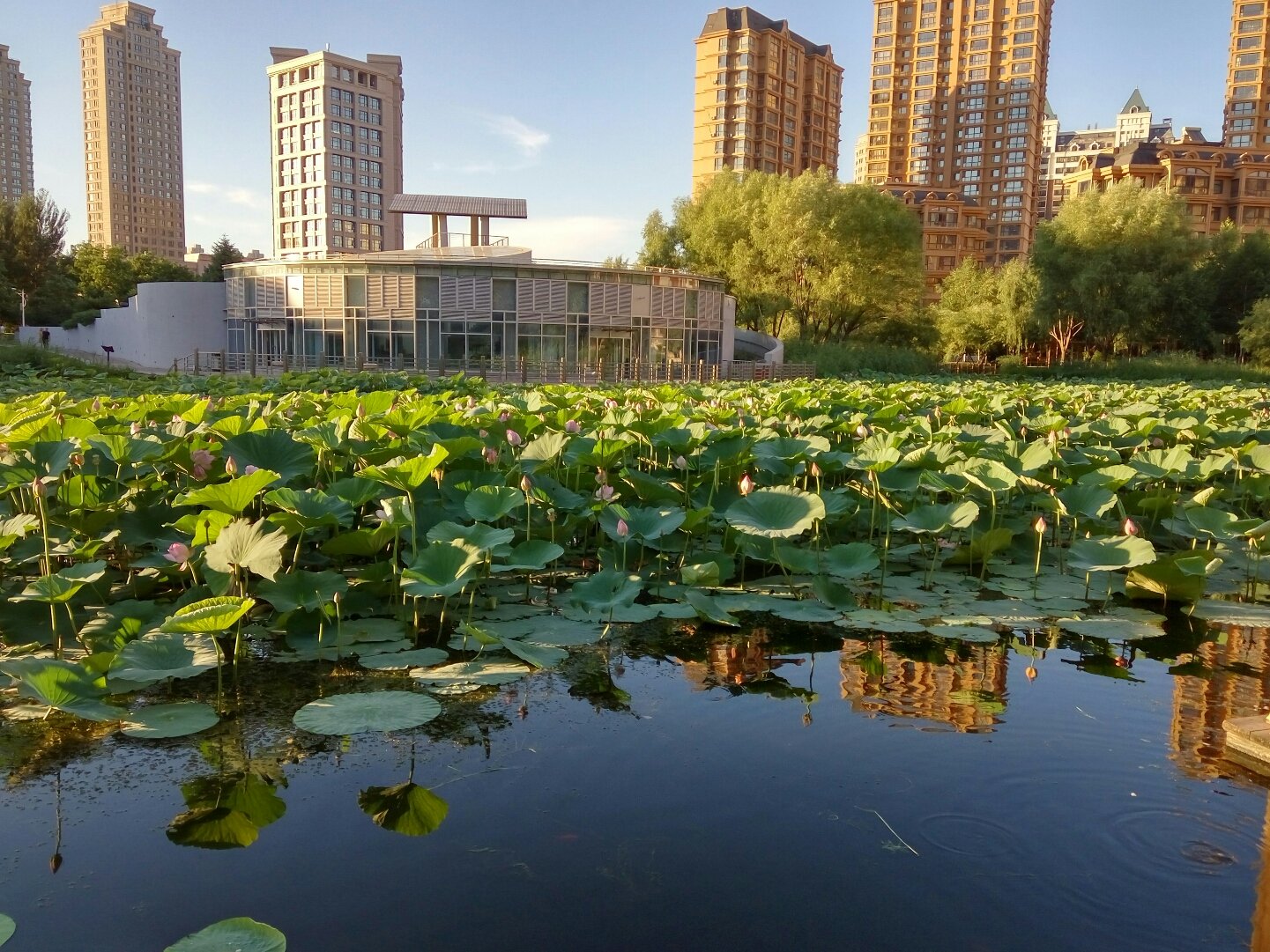 近日，有消息称,哈尔滨群力兰亭水汇带小孩能玩吗