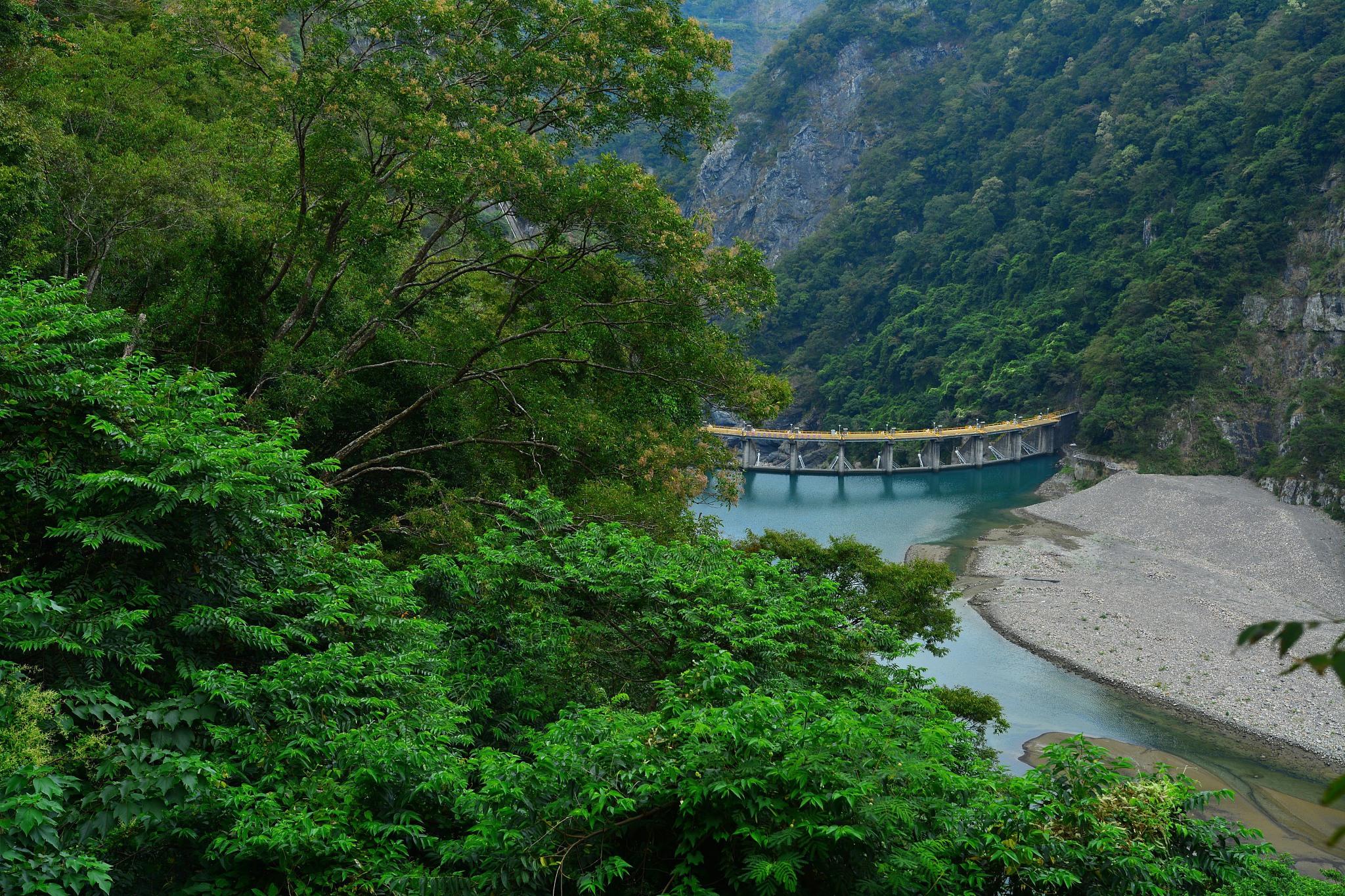 广元品茶上课工作室