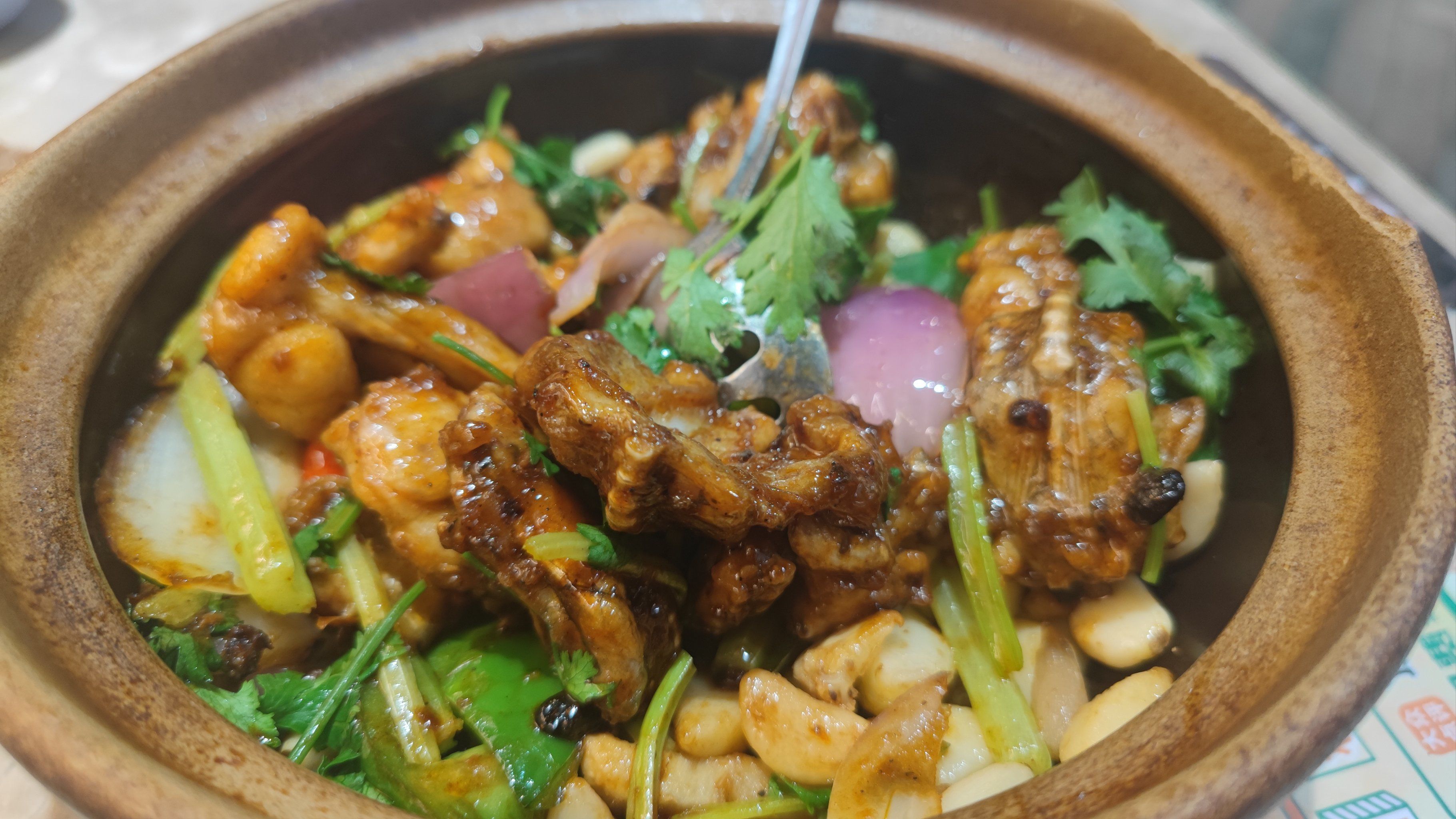 51龙凤茶楼论坛：老广饮茶文化的数字新阵地