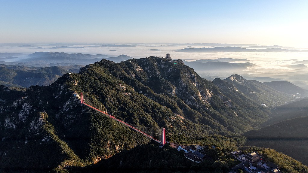 近日报道称：沂南快餐女现象到底意味着什么？本地生活服务转型的深层观察