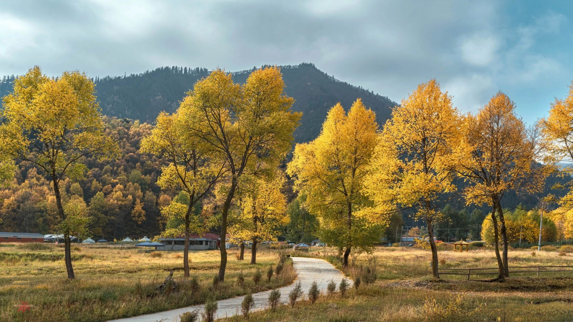 梧州野鸡最多的街道是哪里
