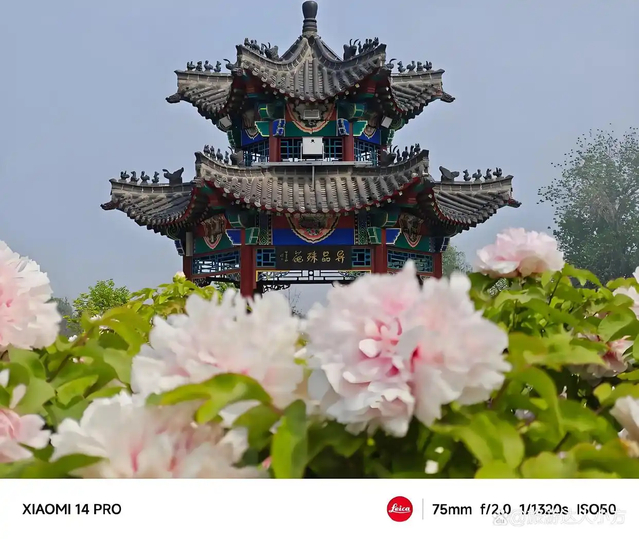 菏泽300上门4个小时电话多少