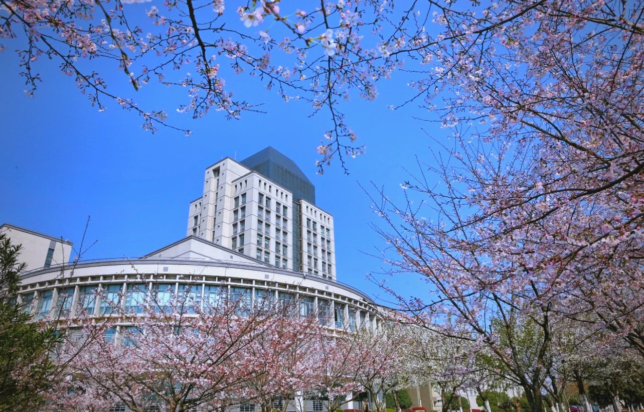 儋州大学城400元服务详解与海南高校资源全解析