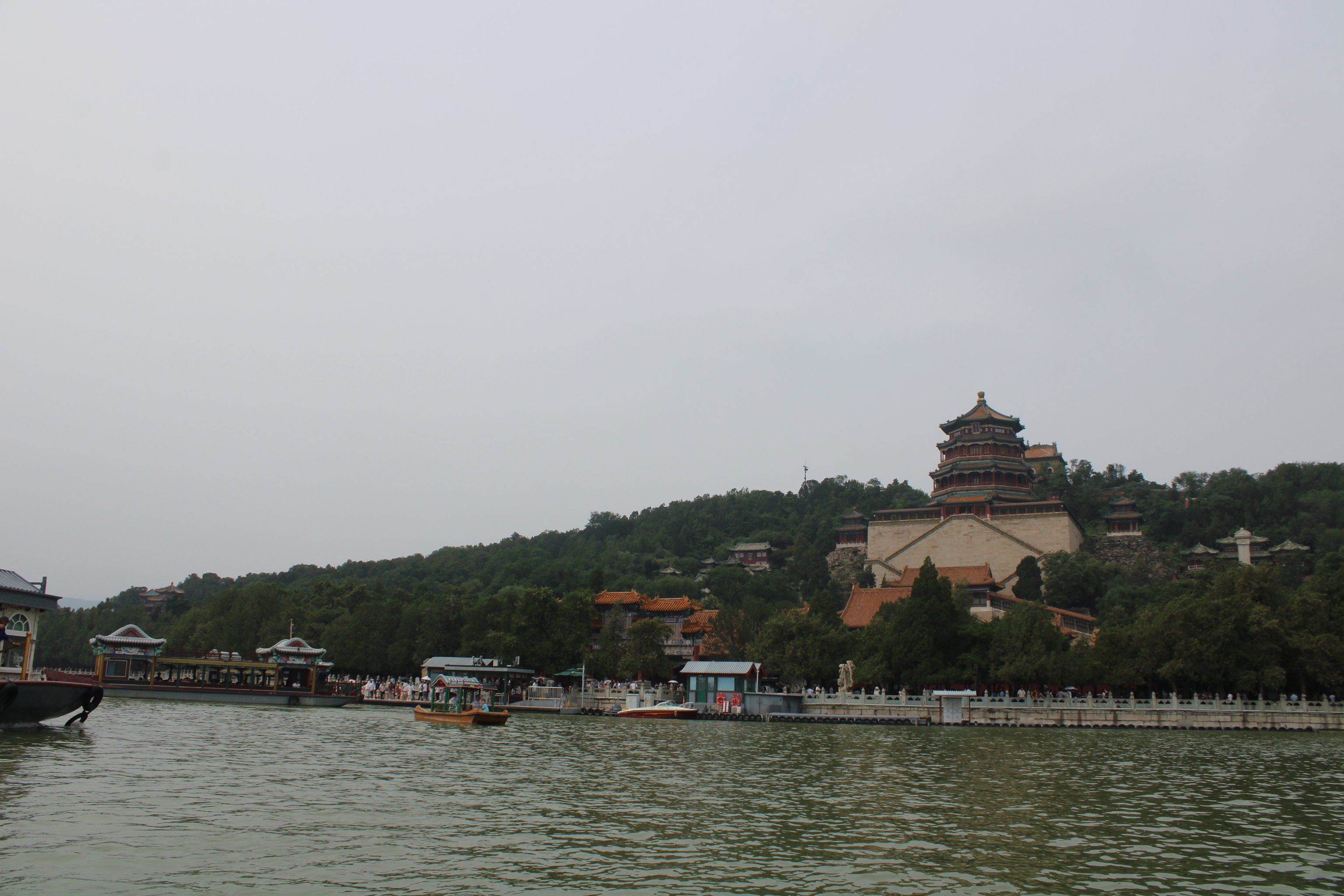 根据最新调查显示,阿拉上海后花园论坛到底怎么样？深度体验与用户真实评价解析