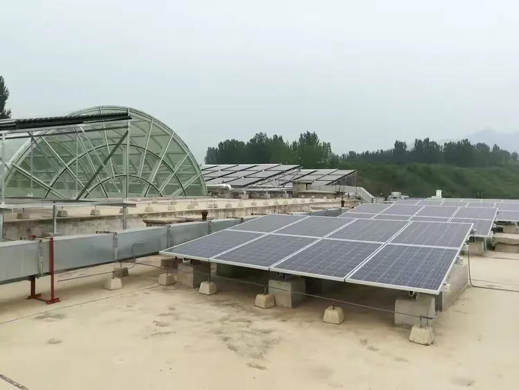 保定上门服务500元3小时全解析