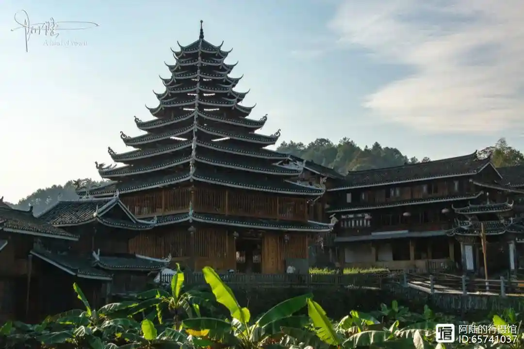 全国名媛凤楼软件深度解析,社交生态与用户需求的全景透视