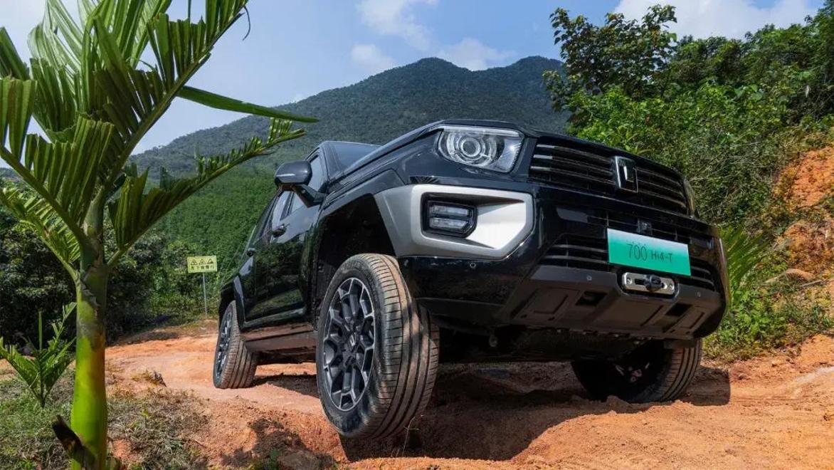 700元3小时不限次数品茶广州：一场舌尖与时间的博弈