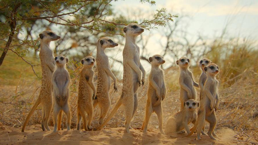 与你同行：论群居时代的人际连接与自我重塑