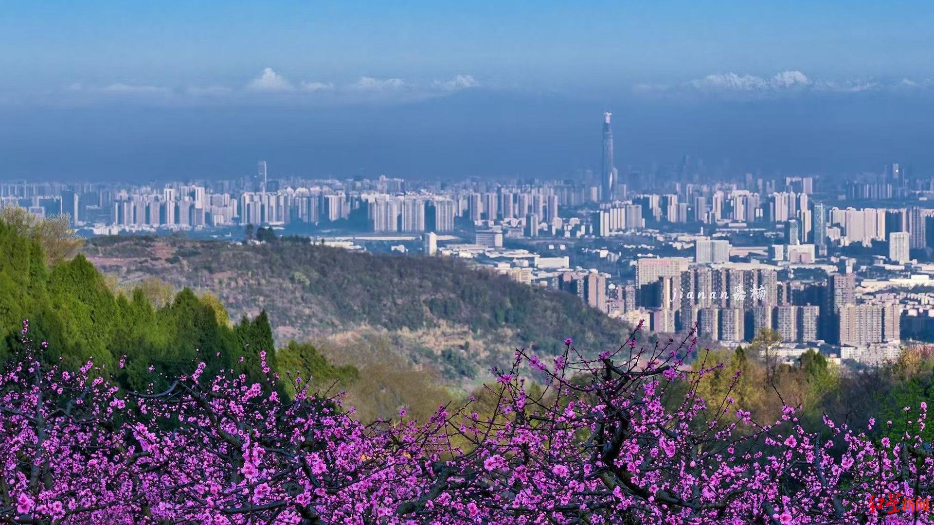 最新科学研究表明,龙泉驿区小巷子在哪_本地达人实测_2025最新位置指南与避坑技巧