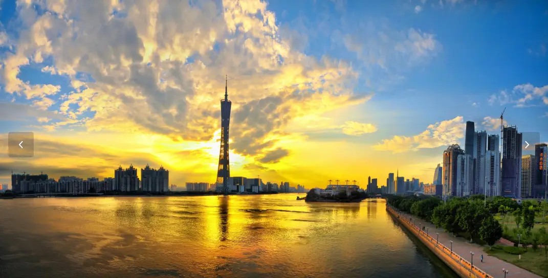 广佛24小时高端茶饮服务热线解密,顶级茶叶为何需要全天候响应