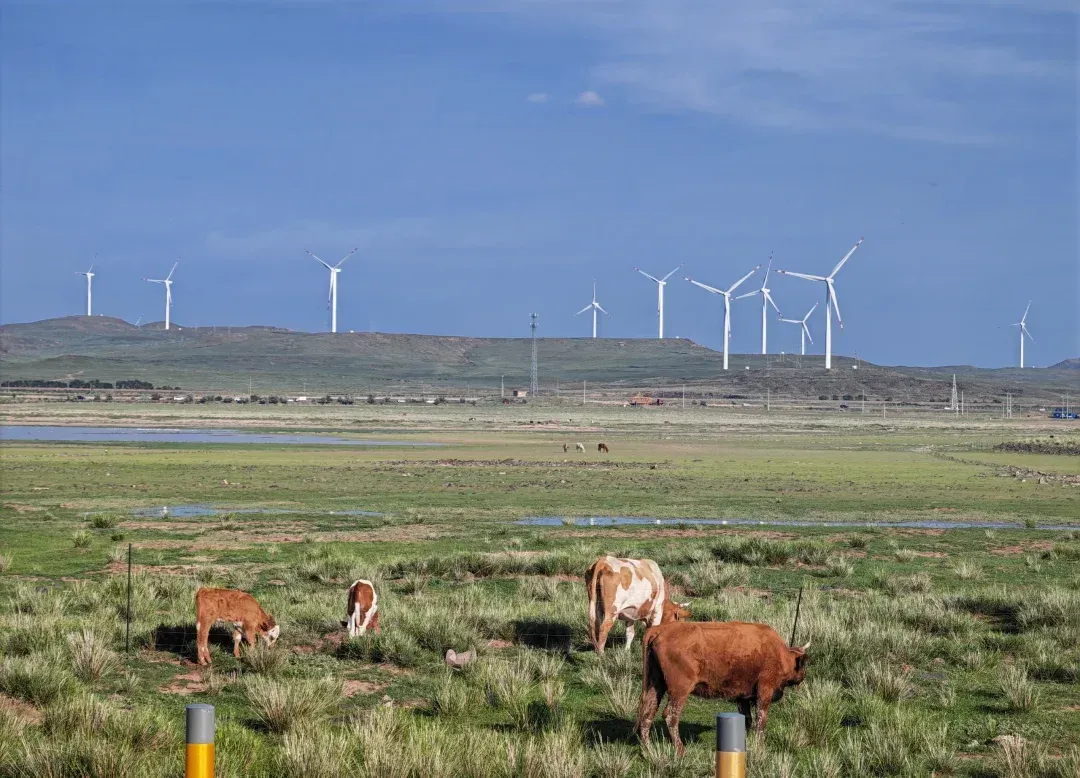 乌兰察布如何找到接活妹子