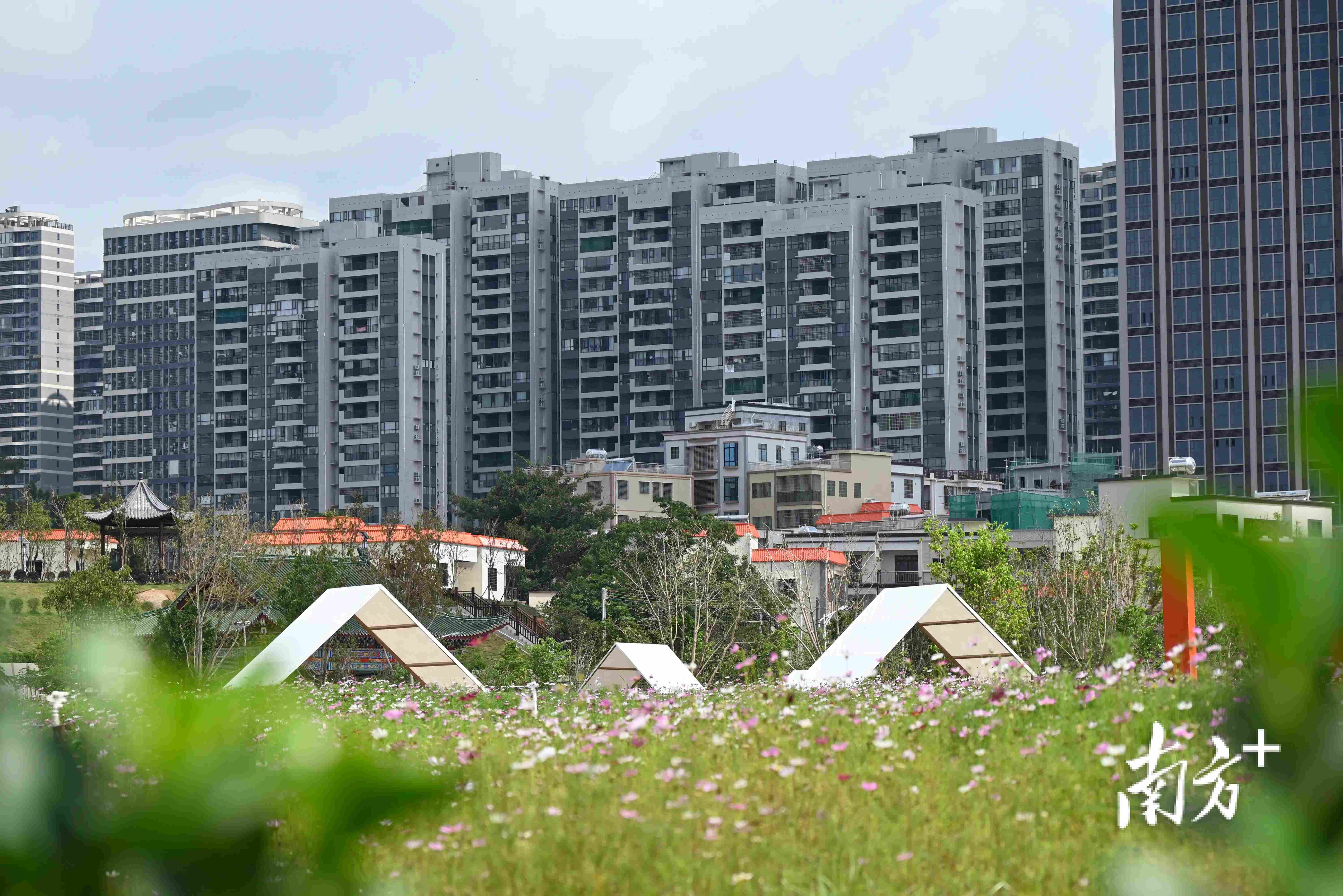 茂名初中生100元3小时电话