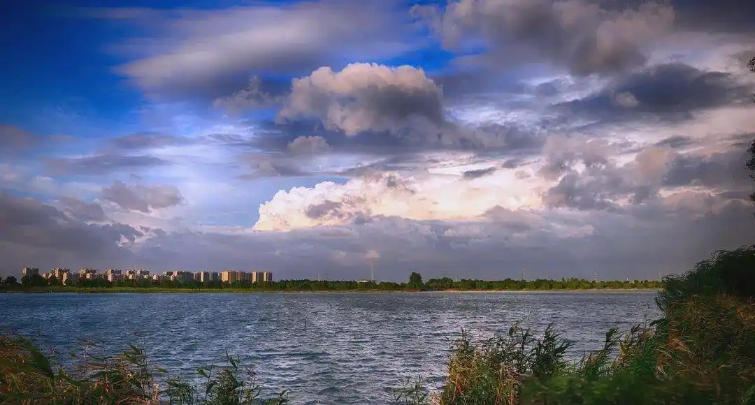 凤凰振翅三十载：解密同城地标建筑的生存秘密与文化魅力