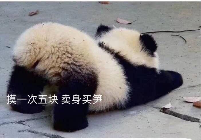 卖身电话是多少？揭秘这个你可能从未听过的隐秘行业