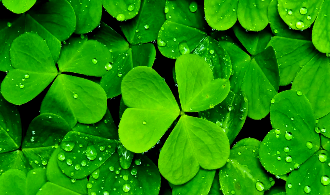 为何有些人总感到很幸运？...