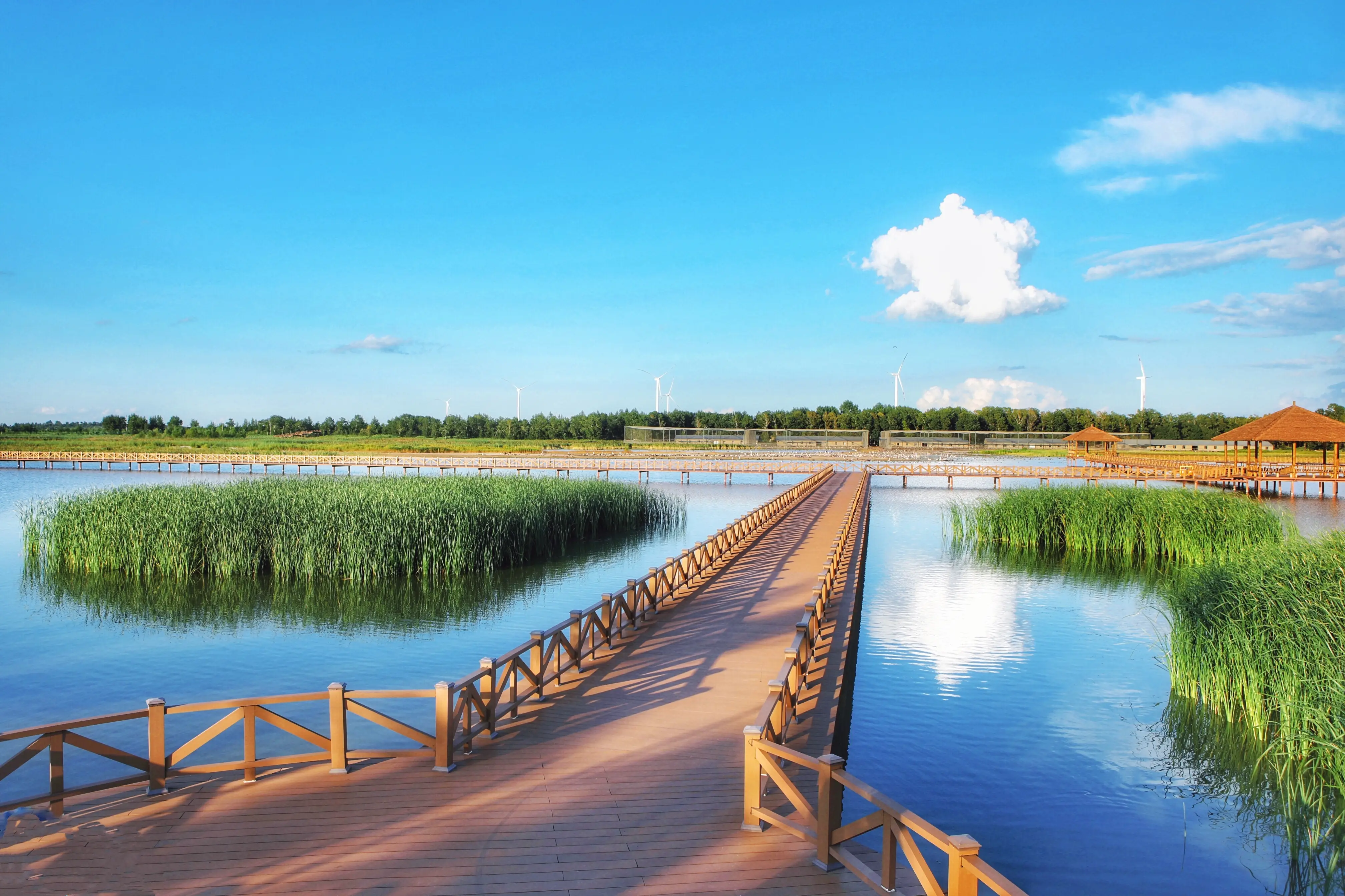 吉林如何寻找同城服务资源及联系方式