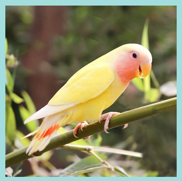 宝坻大活哪里体验最佳,深度解析三大热门场所对比