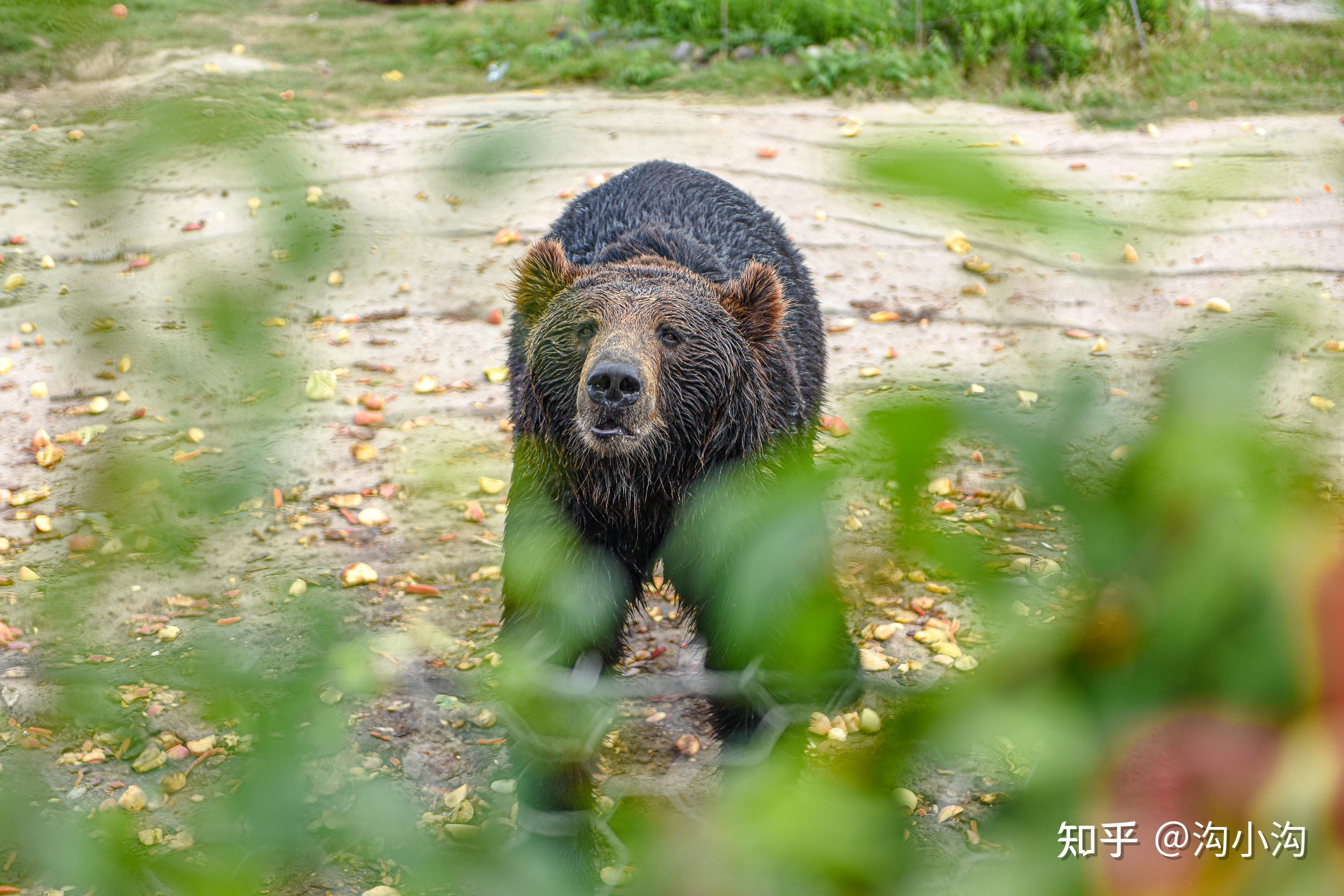 扫头像二维码叫服务：数字化时代的新型消费入口