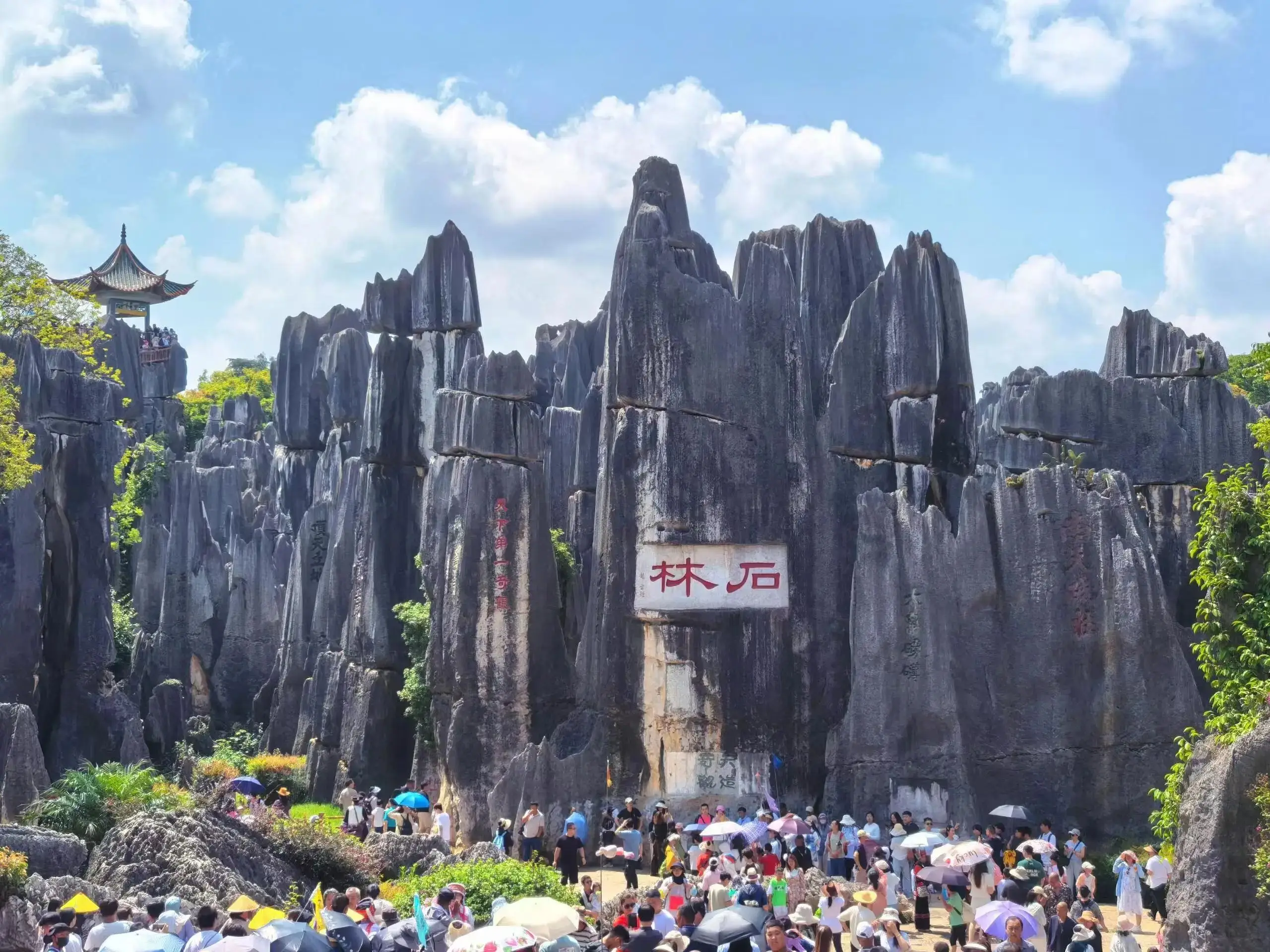 名媛社交如何避坑 这款软件3个月省3万会费