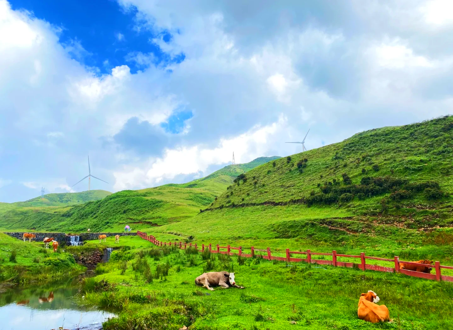 盘州美团上如何寻找陪玩的女生服务指南