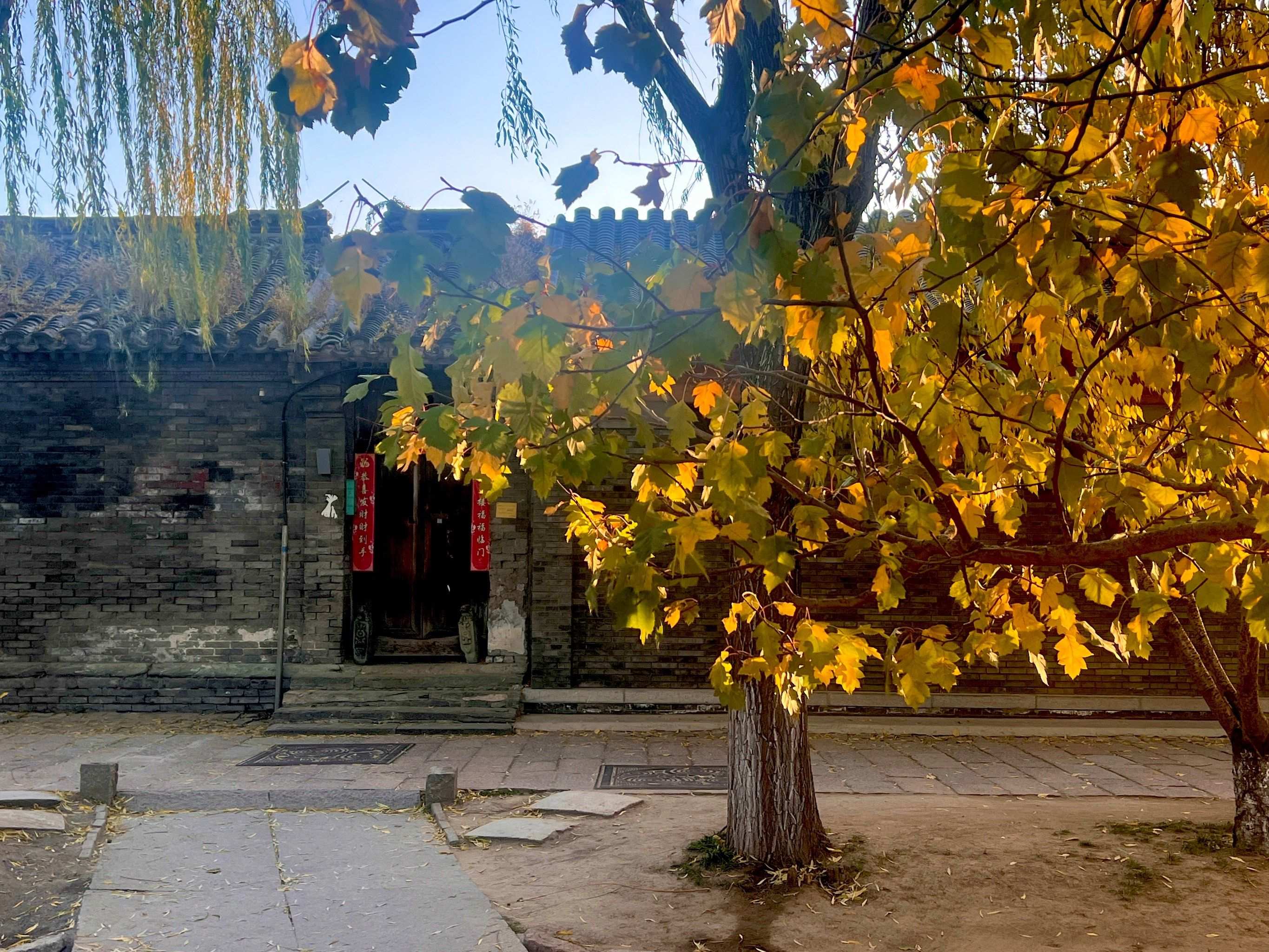 一大新闻：深圳胡同里的妹是什么？深度解析其真实含义与寻找方法