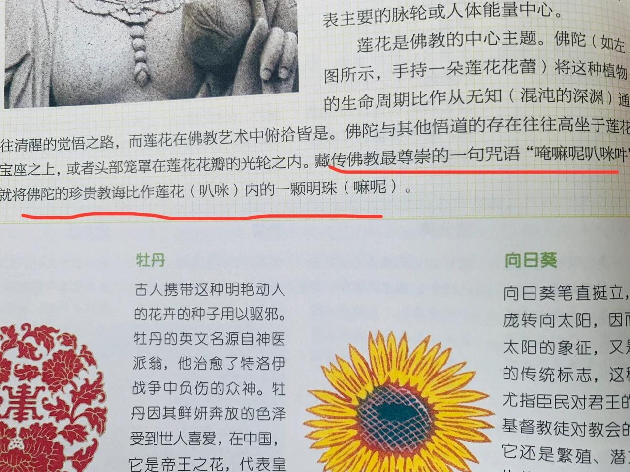 大圈妹子暗语揭秘：3分钟快速了解地下江湖密语体系