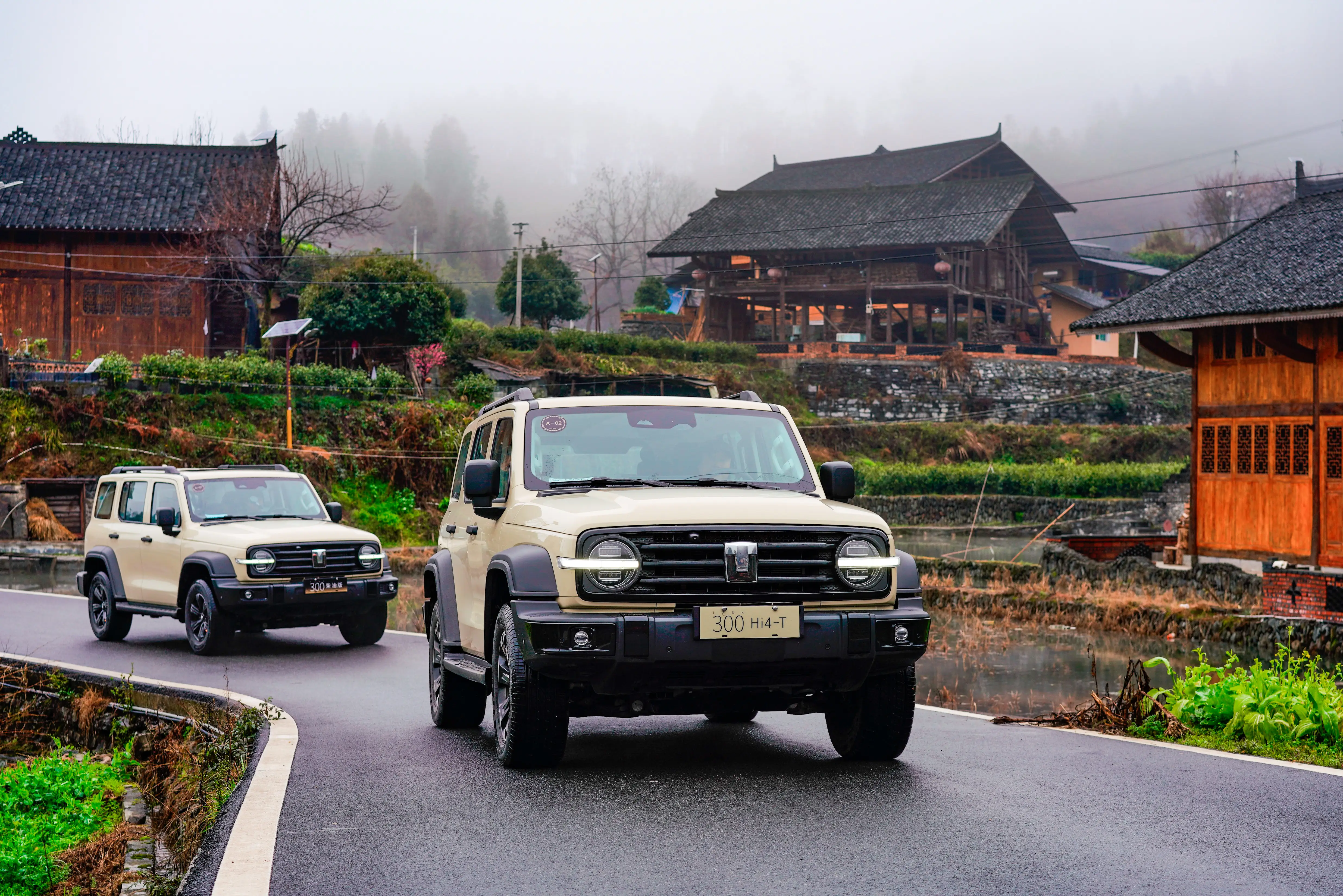 如何用300元快餐加500元一条龙服务节省60%成本？全流程避坑指南