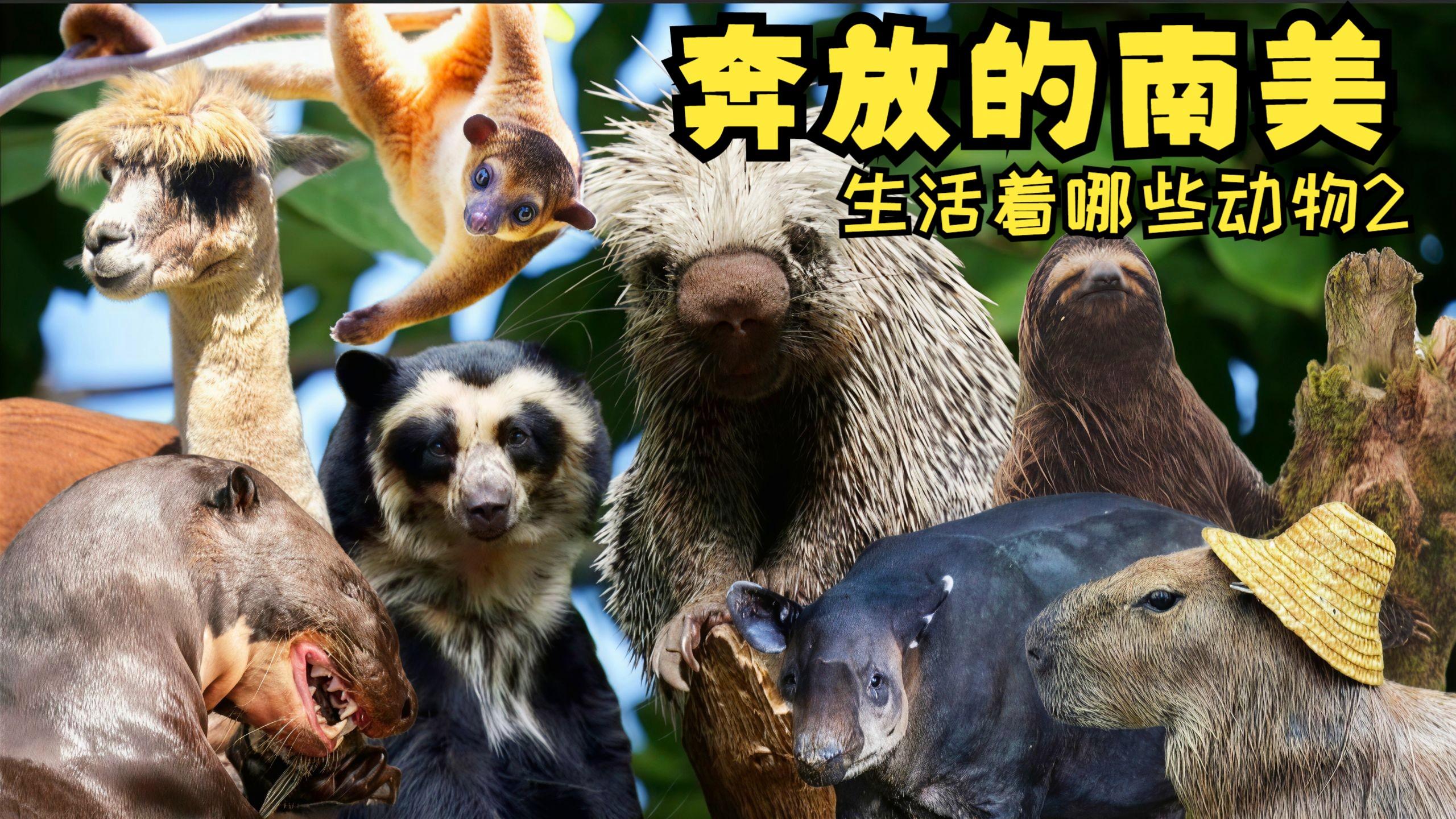 宜春大学城哪些胡同比较便宜？详细解析宜春高校及位置优势