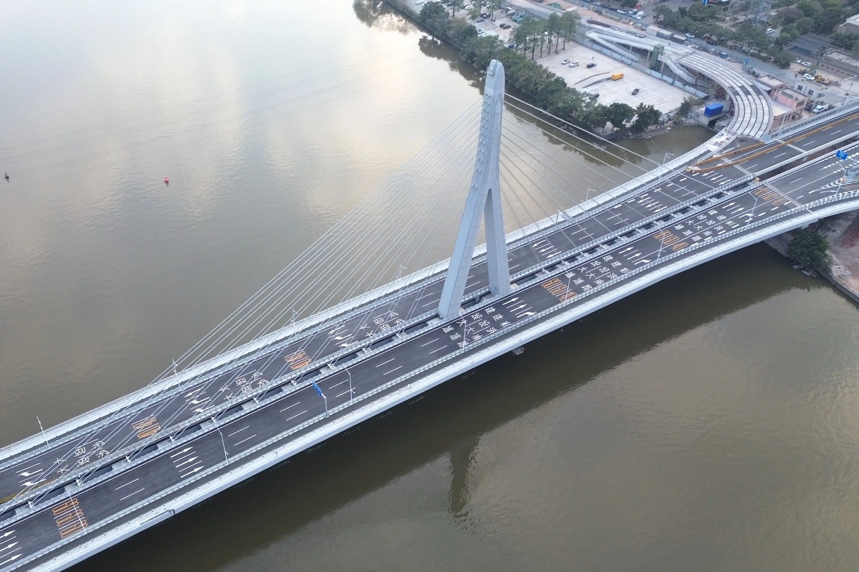 广佛深莞高端茶饮探秘,从产地到品鉴的完整指南