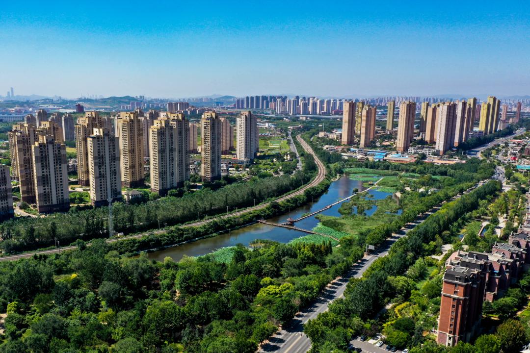 大连甘井子鸡窝探秘：从选址到经营的实用指南