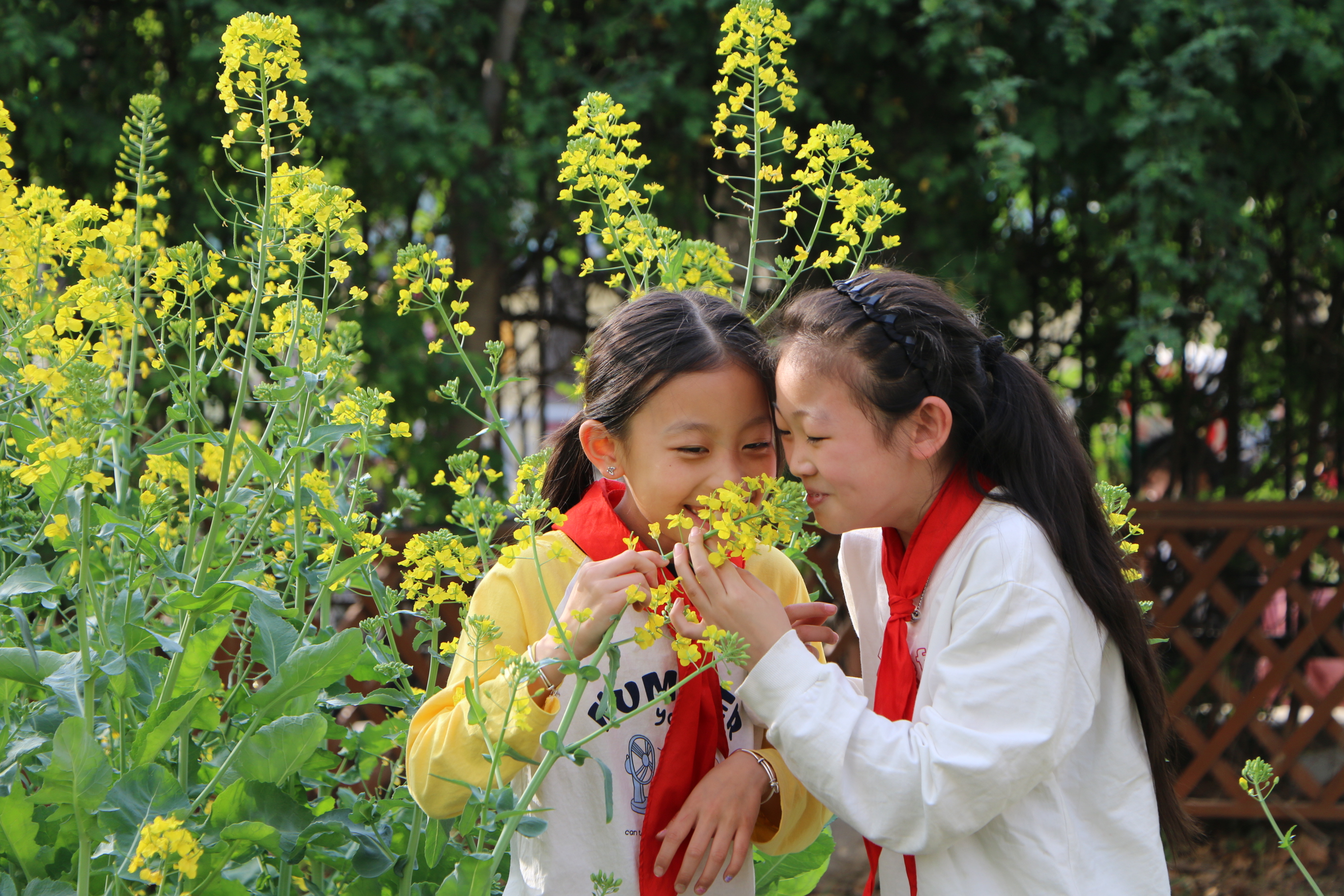 一品论坛寻花攻略：安徽江苏怎么玩才算专业？