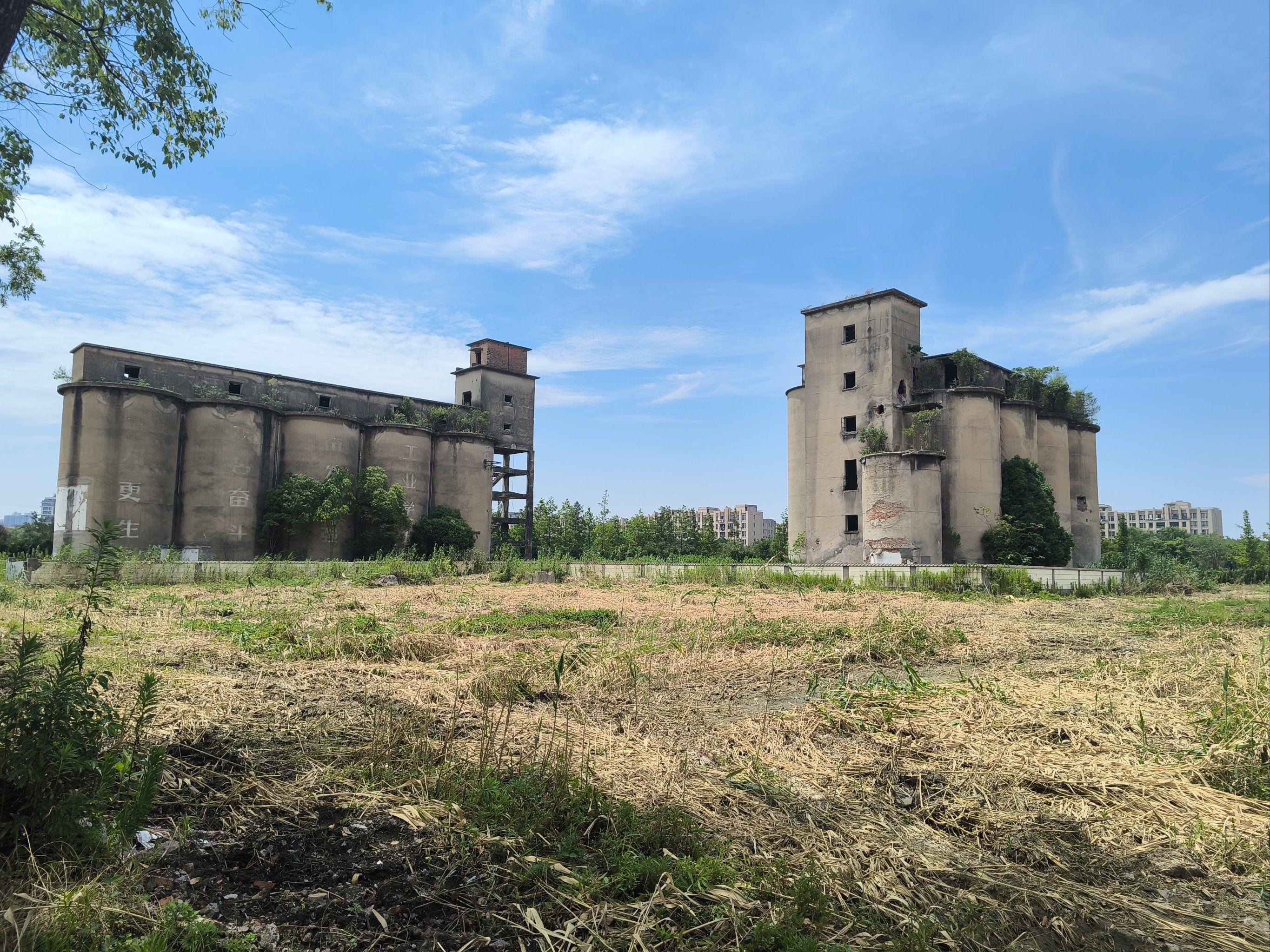 探析农民工公园交易现象及城市边缘的生存博弈