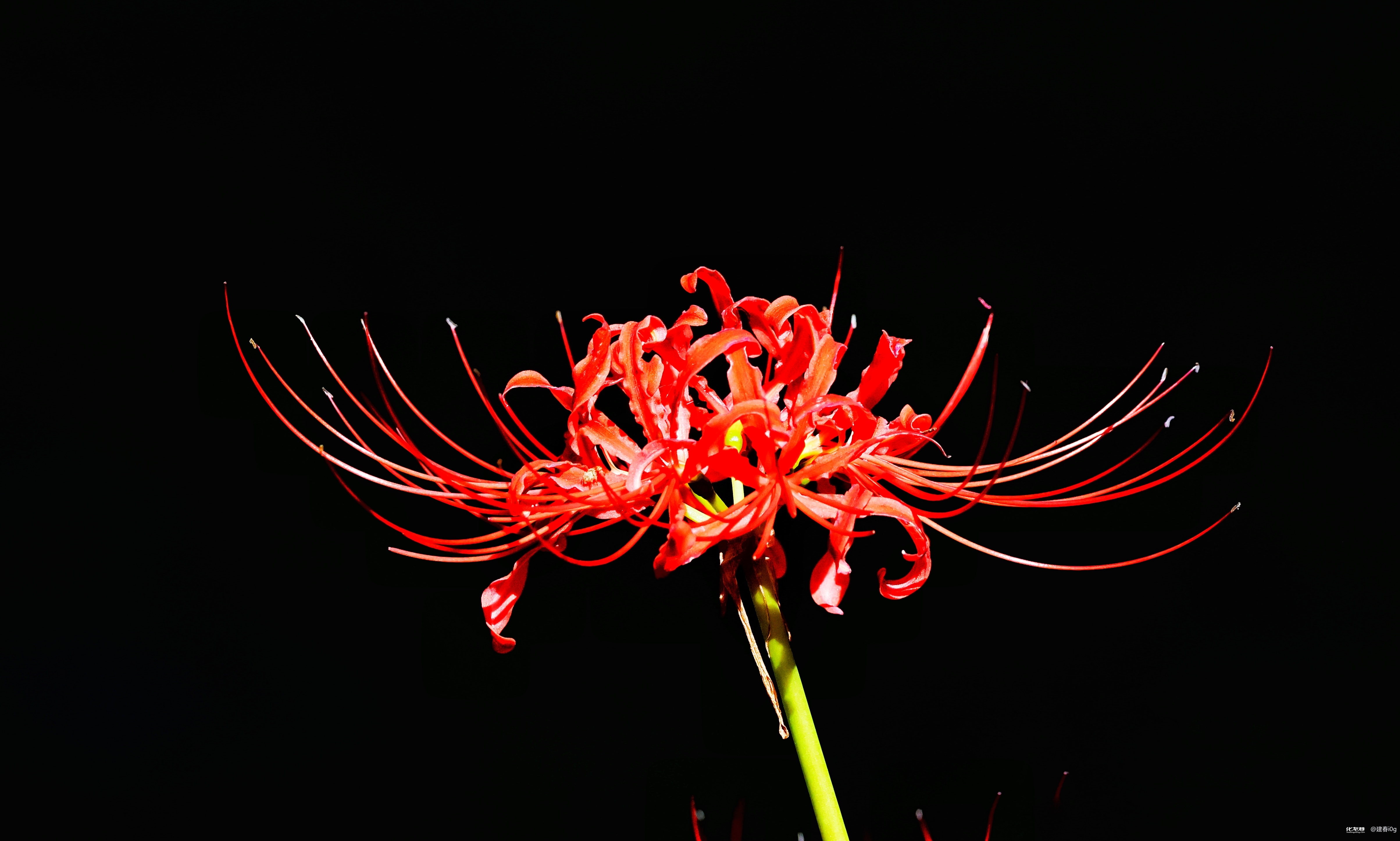 宜兴附近的500一次真的可以约吗