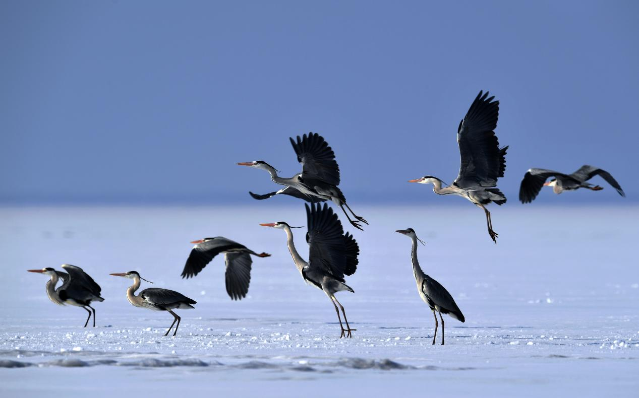 内江玩维妹的地方