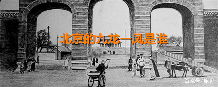 一楼一凤论坛今日动态全解析：从用户增长到内容生态的深度观察