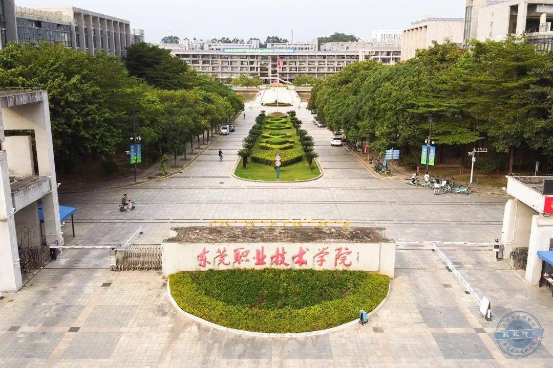 东营东职女生的微信社交法则解密及院校全解析