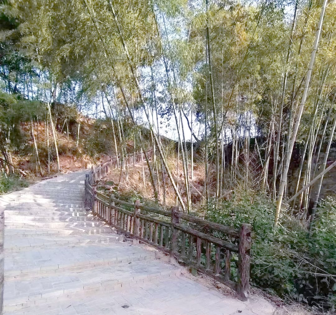 最新分析：如何找到大坪市场的小巷子 地道美食全攻略